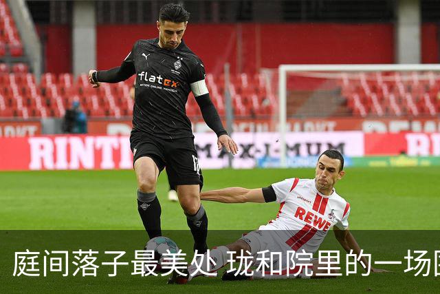 庭间落子最美处 珑和院里的一场围棋雅集