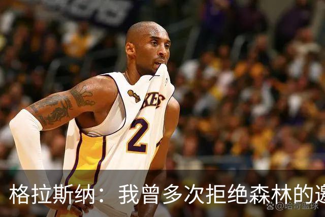 格拉斯纳：我曾多次拒绝森林的邀约，后来老板的壮志打动了我